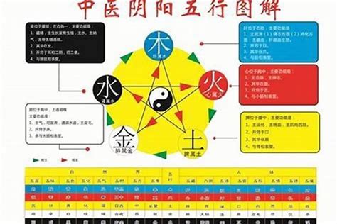 姍 五行|姍字的五行属性